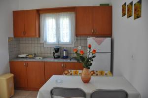 Kjøkken eller kjøkkenkrok på Villa Vasiliki