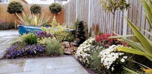 a garden with flowers and plants in front of a fence at Viva Guest House in Clacton-on-Sea