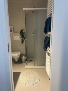 y baño con ducha y aseo. en Appartement op top locatie in Antwerpen, en Amberes