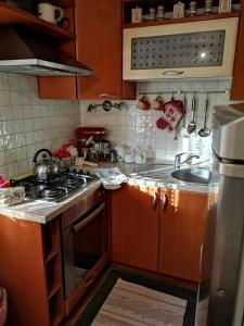 Kuchyň nebo kuchyňský kout v ubytování Apartman Anđela + 4 fotografie