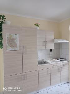 Kuchyň nebo kuchyňský kout v ubytování Akác Vendégház