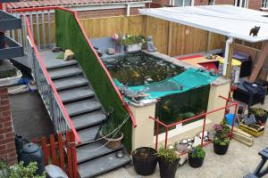 a small koi pond in a backyard with a stairs at Seashells Beach Hotel in Sutton on Sea