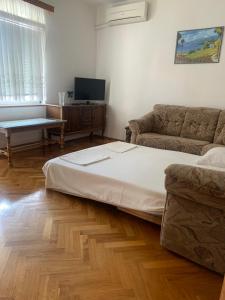 TV a/nebo společenská místnost v ubytování APARTMAN ADRIANA