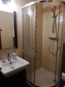 Kúpeľňa v ubytovaní Apartament Zosia