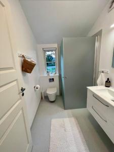 ein Bad mit einem WC und einem Waschbecken in der Unterkunft Sommerhus Mossø in Skanderborg