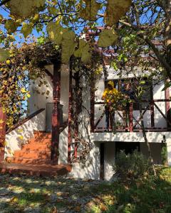 Un uomo in piedi sul balcone di una casa di Domek Cicho Sza a Rożdżały