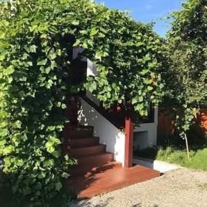 una scala che porta a una casa con una siepe verde di Domek Cicho Sza a Rożdżały