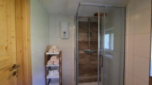 a shower with a glass door in a bathroom at Kalvarienberg Appartement Gosau in Gosau