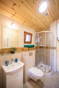 uma casa de banho com um chuveiro, um WC e um lavatório. em Dusznickie Domki Całoroczne em Duszniki Zdrój