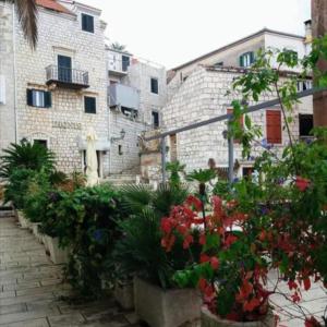 a row of potted plants in front of a building at Bed & Breakfast Dionis Vis in Vis
