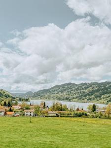 un campo verde con un lago en el fondo en Rothenfels Hotel & Panorama Restaurant en Immenstadt im Allgäu