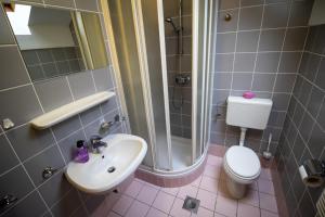 W łazience znajduje się umywalka, toaleta i prysznic. w obiekcie Comfortable apartment in Terme Banovci Spa w mieście Veržej