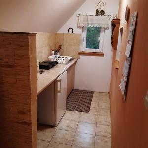 una pequeña cocina con encimera y ventana en Agroturystyka Brzozowe Wzgórze, en Wleń