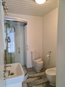ティハニにあるRév Apartmanのバスルーム(シャワー、トイレ、シンク付)