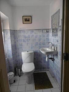 een badkamer met een toilet en een wastafel bij Cottage Massanet in Grasse