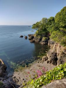 Gallery image of Millpool House in Dartmouth