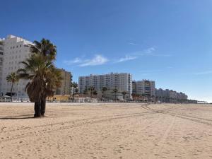 A beach at or near the holiday home