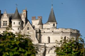 Foto da galeria de Le Manoir Les Minimes em Amboise