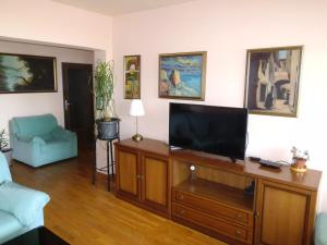 TV a/nebo společenská místnost v ubytování Apartment Olive