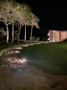 Príroda v okolí hotela