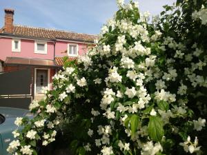 Fotografia z galérie ubytovania Vila Arsini - sa 3 sobe za do 6 osoba, Poreč - Dračevac v Poreči