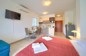 Kuchyň nebo kuchyňský kout v ubytování Apartments Ivica Krk Island