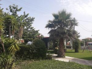 A garden outside Babis Apartments & Studios Iremia