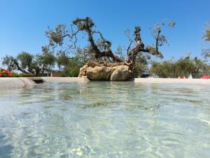 Fotografie z fotogalerie ubytování Carlo's Hotel v destinaci Castagneto Carducci