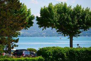 a tree and a car parked next to a lake at Hôtel Les Muses in Annecy
