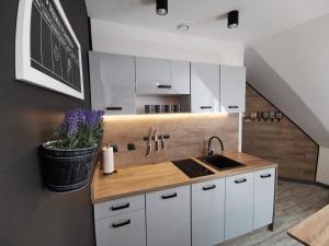 Kuchyňa alebo kuchynka v ubytovaní Apartamenty Majówka