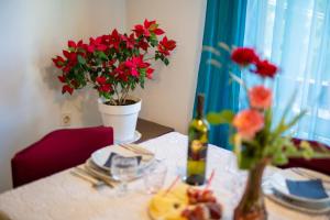 Fotografie z fotogalerie ubytování Apartman Mihael v destinaci Malinska