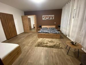1 dormitorio con 1 cama y suelo de madera en Apartmány Černý Tulipán 3, en Plzeň