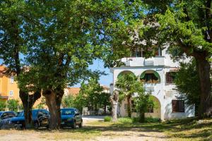 Zahrada ubytování Apartman Mihael