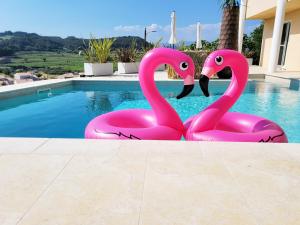 Gallery image of Le Nid Bleu in Le Beausset