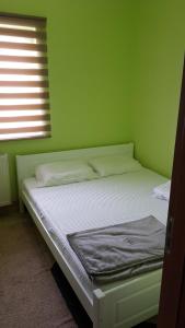 a bed in a green room with a window at Apartman Lazic in Gracanica