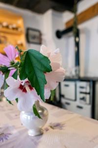 a white vase with pink flowers on a table at Villa Rihuini Eco Wine house Transylvania in Richişu