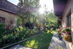 a garden with flowers and plants next to a building at Villa Rihuini Eco Wine house Transylvania in Richişu