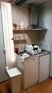 a kitchen with a stove and a sink and a dishwasher at Cosy Novi Sad loft, self check-in in Petrovaradin +2 photos