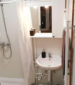 a bathroom with a sink and a mirror at Cosy Novi Sad loft, self check-in in Petrovaradin