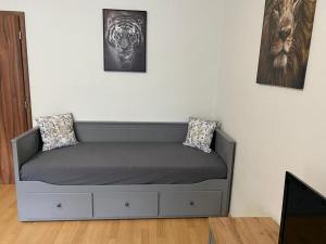 Posedenie v ubytovaní Černý Tulipán - Apartmán 1