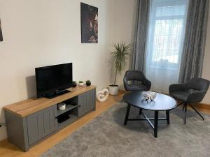 Televízia a/alebo spoločenská miestnosť v ubytovaní Černý Tulipán - Apartmán 1