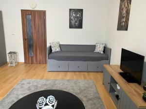 Televízia a/alebo spoločenská miestnosť v ubytovaní Černý Tulipán - Apartmán 1