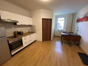 Kuchyňa alebo kuchynka v ubytovaní Černý Tulipán - Apartmán 1