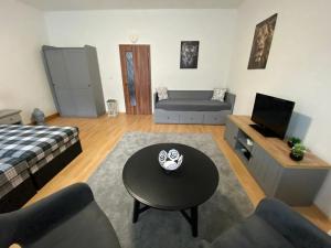 Televízia a/alebo spoločenská miestnosť v ubytovaní Černý Tulipán - Apartmán 1