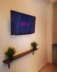 a flat screen tv hanging on a wall with two plants at Nerajoula House in Parga