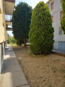 Ogród w obiekcie FLY HOUSE BOLOGNA...un appartamento al volo