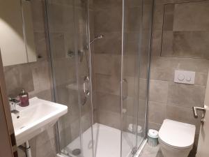 Koupelna v ubytování Apartmán Šumavský Buk 14 Brčálník