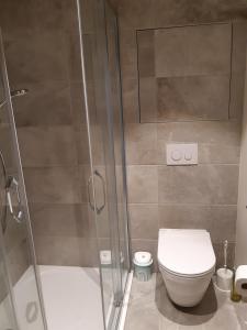 Koupelna v ubytování Apartmán Šumavský Buk 14 Brčálník + 37 fotografií