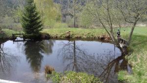 Příroda nedaleko apartmánu
