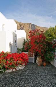 Kebun di luar SPIROS & HIROKO Hotel - ADULTS ONLY